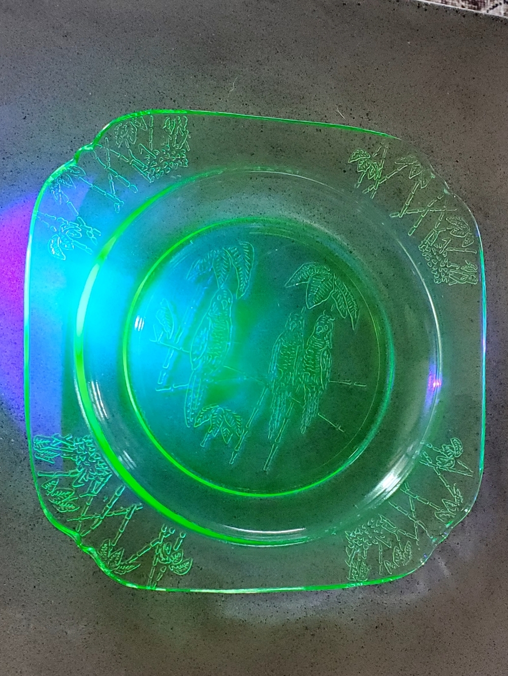 1930s Federal Glass Sylvan PARROT Depression Glass Parrots+Palm Trees 7.5" Plate